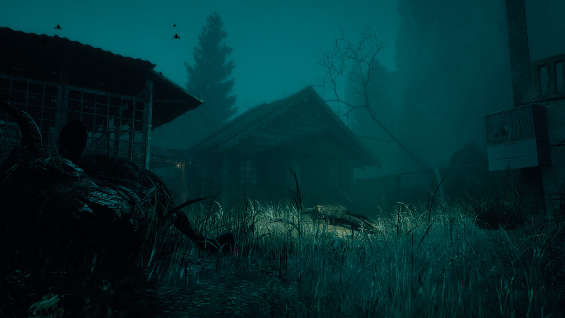 The Occultist's image