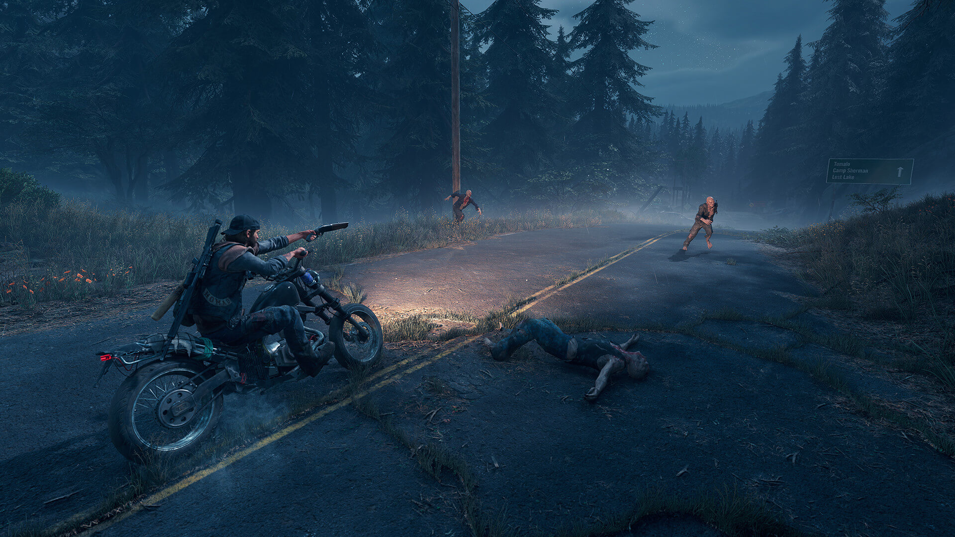 Days Gone's image