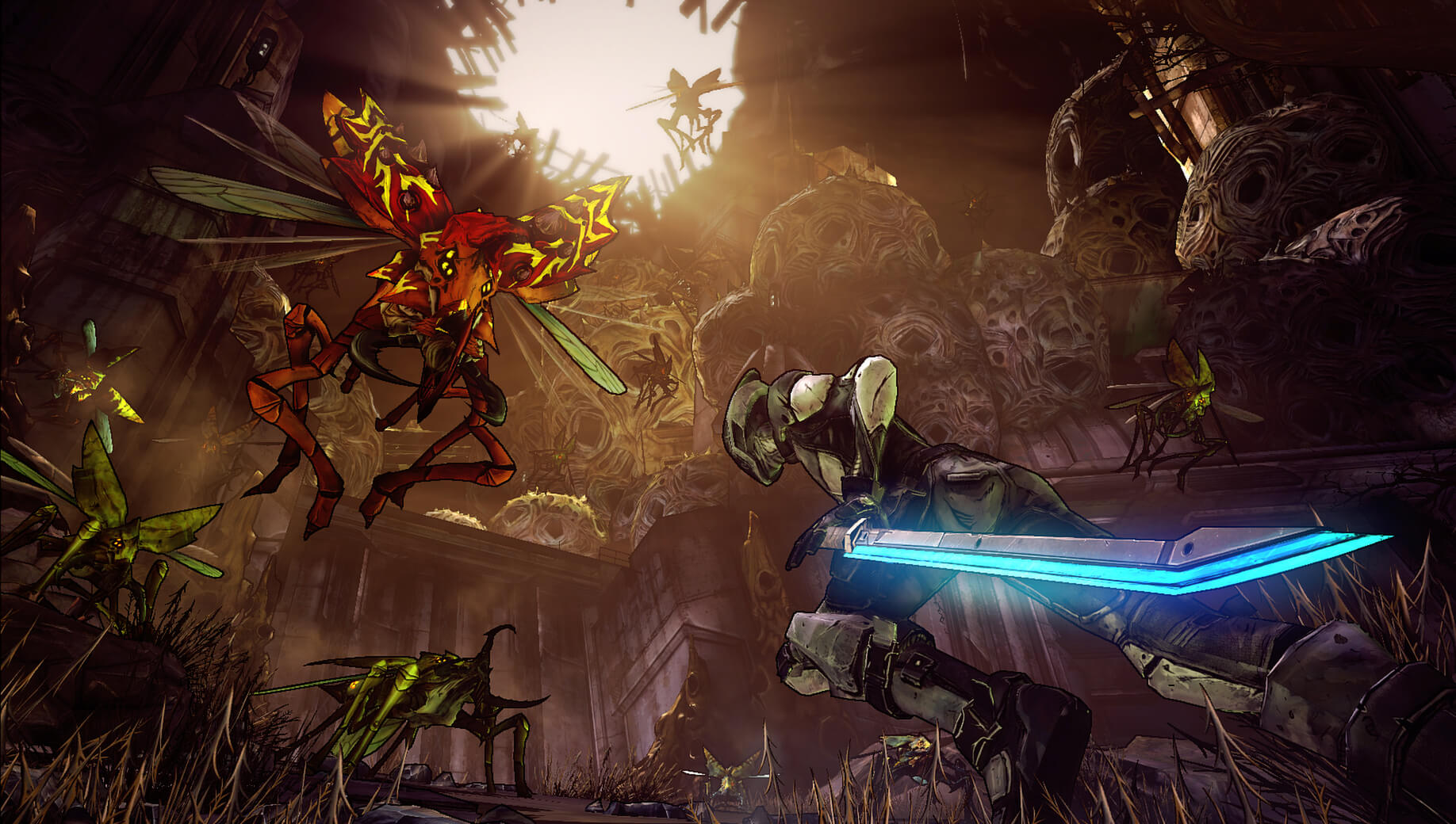 Borderlands 2's image