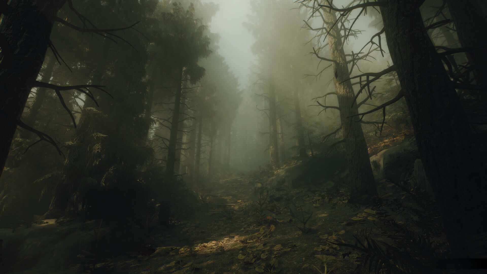 The Occultist's image