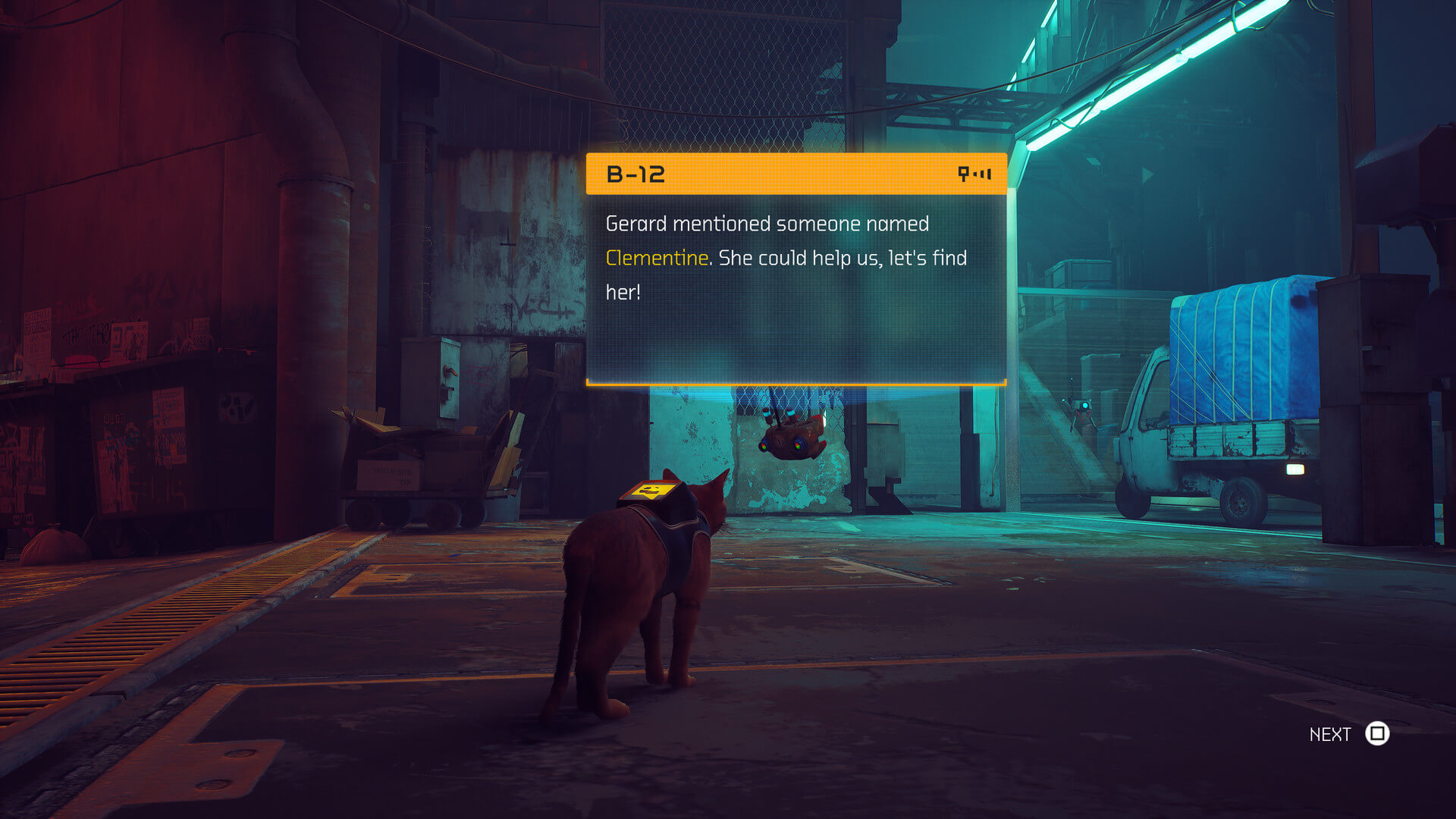 Stray's image